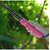 Hair Curler ( Multicolor ) Product Style - 55