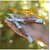 Multi Pliers Army Knife Hammer Hand Camping Outdoor Tool Spanners - 09