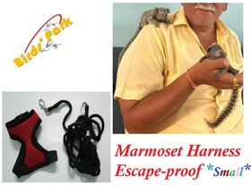 Marmoset Harness Escape-proof with nylon lease size small Birds Park