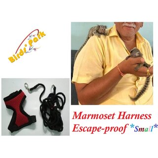 Marmoset Harness Escape-proof with nylon lease size small Birds Park
