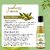 CareVeda Olive Oasis Hair Oil Enriched with Bakuchi and Til Oil Suitable For All Hair Types 100ml