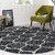 GALLERY HOME Silky Smooth Anti-Skid Shaggy Round Carpet with 2 inch Thickness (4 x 4 Round, Charcoal M1)