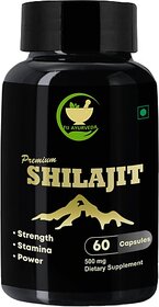FIJ AYURVEDA Premium Shilajit/Shilajeet Capsule for Stamina, Energy  and  Power 60 Capsules