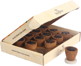 Gaumadhan Cow Dung Organic Hawan Sambrani Dhoop Cups for Pooja - Pack of 1 Box (12 Pcs)
