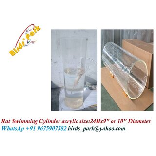 Albino Rat Swimming Cylinder Acrylic Size 24 inch Height x 9 inch Diameter Heavy Birds' Park