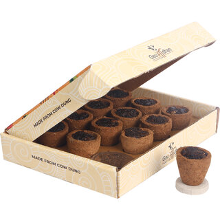 Gaumadhan Cow Dung Organic Hawan Sambrani Dhoop Cups for Pooja - Pack of 1 Box (12 Pcs)
