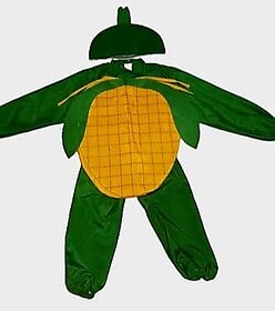 Pineapple Fruit Healthy Food Theme Fancy Dress Costume With Jumpsuit For Kids