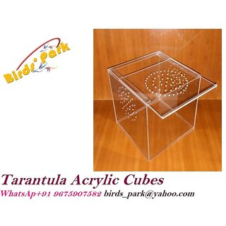 Tarantula Acrylic  (Enclosure) Cubes Size 6 x 6 x 6 inch - Good for Tarantula Birds' Park
