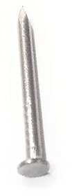 Chandan Stainless Steel Nails with Head