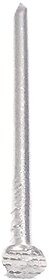 Chandan Stainless Steel Nails with Head