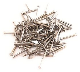 Chandan Stainless Steel Nails with Head