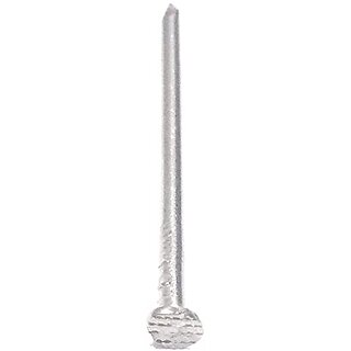 Chandan Stainless Steel Nails with Head