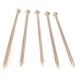 Chandan Stainless Steel Nails with Head