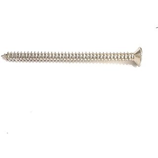 Chandan Stainless Steel Csk Pilip Head Screw