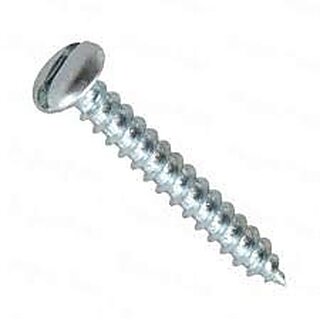 Stainless Steel Rust Free Pan Head Screw Industrial 25