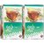 GAIA Green Tea Mint 25 tea bags ( Pack of 2 ) Mint Green Tea Bags Box (2 x 12.5 Bags)