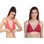 Zourt Poly Cotton B Cup Front Open Bra Set of 2 Gajri-Rani