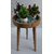 Onlinecraft Solid Wood Side Table (Finish Color - Green, Diy(Do-It-Yourself))