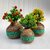 Onlinecraft Wooden Corner Table Decor Wooden Vase (6 Inch, Green)