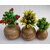 Onlinecraft Wooden Corner Table Decor Wooden Vase (6 Inch, Brown)