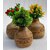 Onlinecraft Wooden Corner Table Decor Wooden Vase (6 Inch, Brown)