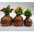 Onlinecraft Wooden Corner Table Decor Wooden Vase (6 Inch, Brown)