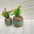 Onlinecraft Mango Wooden Flower Pot Set Of 3 Pc Big 6 ,Medium 5 , Small 4 Inch Height Wooden Vase (6 Inch, Green, Brown)