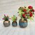 Onlinecraft Mango Wooden Flower Pot Set Of 3 Pc Big 6 ,Medium 5 , Small 4 Inch Height Wooden Vase (6 Inch, Blue, Brown)