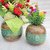 Onlinecraft Mango Wooden Flower Pot Set Of 3 Pc Big 6 ,Medium 5 , Small 4 Inch Height Wooden Vase (6 Inch, Green, Brown)