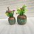 Onlinecraft Mango Wooden Flower Pot Set Of 3 Pc Big 6 ,Medium 5 , Small 4 Inch Height Wooden Vase (6 Inch, Green, Brown)
