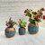 Onlinecraft Mango Wooden Flower Pot Set Of 3 Pc Big 6 ,Medium 5 , Small 4 Inch Height Wooden Vase (6 Inch, Blue, Brown)