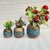 Onlinecraft Mango Wooden Flower Pot Set Of 3 Pc Big 6 ,Medium 5 , Small 4 Inch Height Wooden Vase (6 Inch, Blue, Brown)