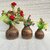 Onlinecraft Mango Wooden Flower Pot Set Of 3 Pc Big 6 ,Medium 5 , Small 4 Inch Height Wooden Vase (6 Inch, Brown, Brown)