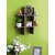Onlinecraft Wooden Mota Plus (Brown) Wooden Wall Shelf (Number Of Shelves - 6, Brown)