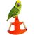 Bird Toy Swing Acrylic - Good for Fun  Play for Grey Parrot, Sun Conure Lovebirds Cockateils Finch  Canary BIRDS' PARK