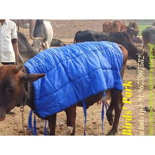 Cow Coat Warm Filled with Polyfill - Good for Winter  rain Water Proof with Polyfill. Birds' Park