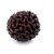 Original 1 Mukhi Gol Dana Rudraksh One Face Round Rudraksha By Lab Certified