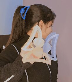 Beautiful Hair Accessories, D Shape, Hair Clutches for Women  Girls Multi Color Pack of 4