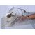 Rabbit Restrainers Acrylic Birds' Park