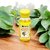 Eucalyptus Headaches, Back Pain Oil - 50ml