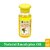 Nilgiris Hills Eucalyptus Oil - Pack Of 1 (50ml)
