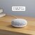 (Refurbished) GOOGLE HOME MINI WITH GOOGLE ASSISTANT SMART SPEAKER (GREY)