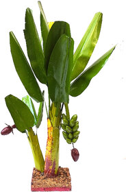 simonart and printing banana tree