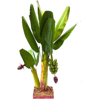 simonart and printing banana tree