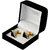 Lucky Jewellery Unique Black Color Golden Plated Formal Wedding Shirt, Suit, Blazer Cufflinks Pair Set for Men