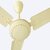 Eskon Delta 1200 Mm Ultra High Speed 3 Blade Ceiling Fan (Ivory, Pack Of 1)