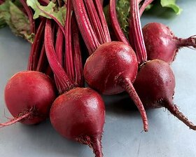 Splendour Seeds Beetroot Vegetable Seeds