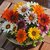 Splendour Seeds Gazania Sunshine Flower Seeds