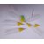Mehandi (Heena) Needle with soft squeeze bottle 20ML 6 pcs-Good for beginner or professional Heena lovers Birds' Park