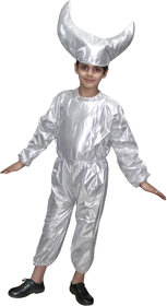 Kaku Fancy Dresses Nature Theme Moon Costume -Silver, For Boys  Girls